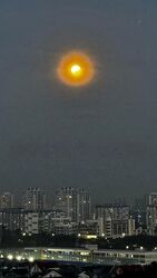 Kensington Park Condominium (D19), Condominium #502398921